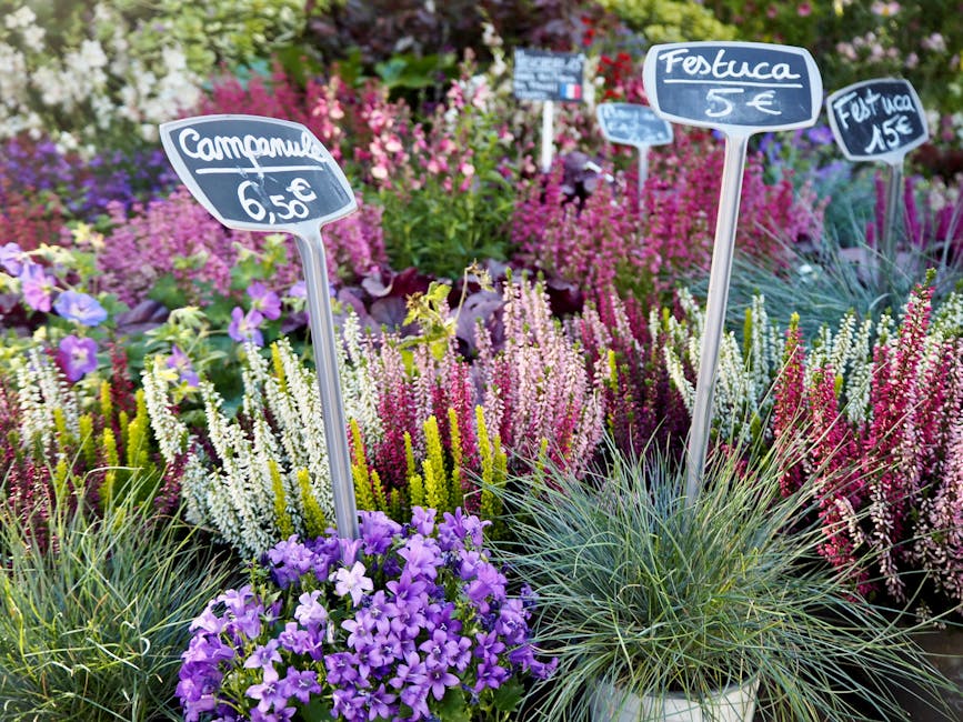 A vibrant display of flowering plants at a garden center, with various colors including purple, pink, white, and green. Prominent in the foreground are purple petunias arranged in a small pot. Behind 